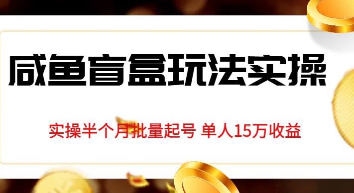 独家首发咸鱼盲盒玩法实操，半个月批量起号单人15万收益【揭秘】-铭创资源库