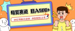 小红书育儿资料,一部手机可操作,多种变现方式,日入500+,私域变现,长期可持续项目【揭秘】-铭创资源库