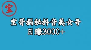 宝哥揭秘抖音美女号玩法，日赚3000+【揭秘】-铭创资源库