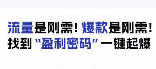 电商盈利精品课：6大盈利密码让产品更好卖，流量是刚需！爆款是刚需！找到”盈利密码”一键起爆-铭创资源库