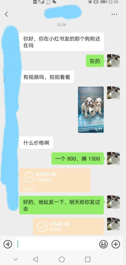 外边收费3980的同城萌宠项目，用最冷门的玩法冲击最热门的市场【揭秘】-铭创资源库