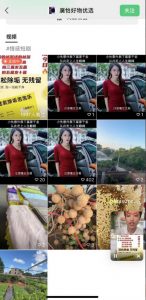 外面收费198的最新视频号连怼技术，条条原创，条条爆单【揭秘】-铭创资源库