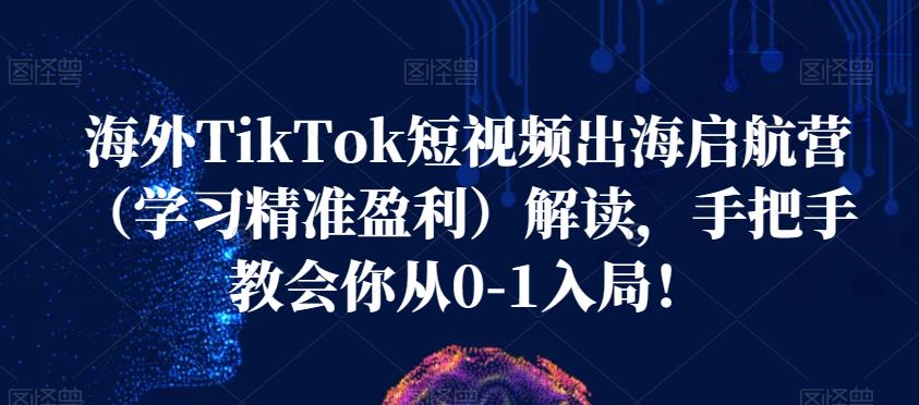 海外TikTok短视频出海启航营（学习精准盈利）解读，手把手教会你从0-1入局！-铭创资源库