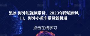 黑冰·海外短视频带货,2023年跨境新风口,海外小黄车带货新机遇-铭创资源库