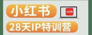 28天小红书博主IP特训营(第3期)实战经验,快速涨粉,迅速变现-铭创资源库