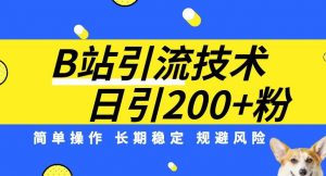 B站引流技术：每天引流200精准粉，简单操作，长期稳定，规避风险-铭创资源库