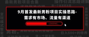 9月首发最新男粉项目实操思路-需求有市场,流量有渠道【揭秘】-铭创资源库