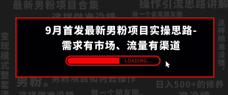 9月首发最新男粉项目实操思路-需求有市场，流量有渠道【揭秘】-铭创资源库