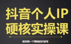 个人IP创富系统实战课，商业定位，流量打造，短视频变现，教你做个赚钱的抖音号-铭创资源库