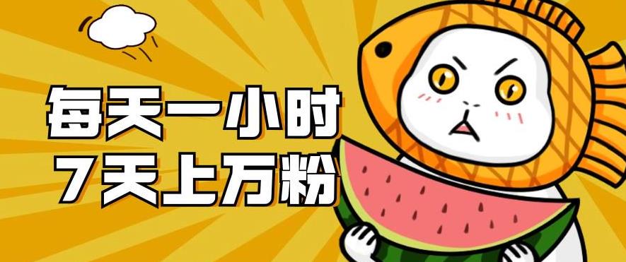 暴力涨粉项目：每天一小时，七天上万粉【揭秘】-铭创资源库