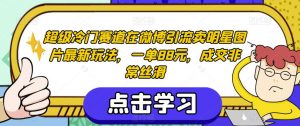 超级冷门赛道在微博引流卖明星图片最新玩法，一单88元，成交非常丝滑【揭秘】-铭创资源库