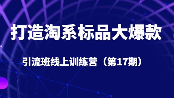 打造淘系标品大爆款引流班线上训练营（第17期）5天直播授课-铭创资源库