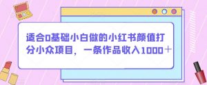 适合0基础小白做的小红书颜值打分小众项目，一条作品收入1000＋【揭秘】-铭创资源库