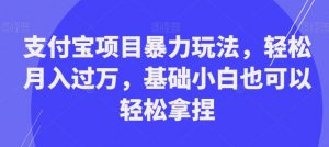支付宝项目暴力玩法，轻松月入过万，基础小白也可以轻松拿捏【揭秘】-铭创资源库