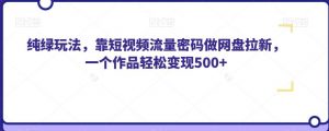 纯绿玩法,靠短视频流量密码做网盘拉新,一个作品轻松变现500+【揭秘】-铭创资源库