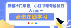 最新冷门项目,小红书账号解封日入200+【揭秘】-铭创资源库