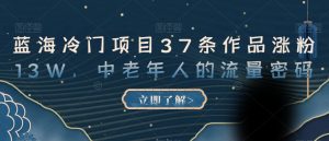 蓝海冷门项目37条作品涨粉13W,中老年人的流量密码【揭秘】-铭创资源库