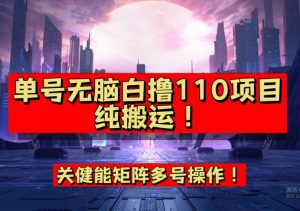 9月全网首发，单号直接白撸110！可多号操作，无脑搬运复制粘贴【揭秘】-铭创资源库
