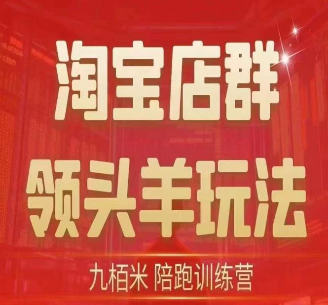 九栢米-淘宝店群领头羊玩法，教你整个淘宝店群领头羊玩法以及精细化/终极蓝海/尾销等内容-铭创资源库