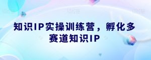 知识IP实操训练营，​孵化多赛道知识IP-铭创资源库