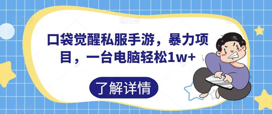 口袋觉醒私服手游，暴力项目，一台电脑轻松1w+【揭秘】-铭创资源库