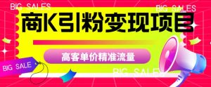 商K引粉变现项目,高客单价精准流量【揭秘】-铭创资源库