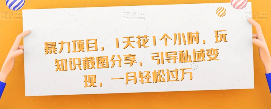 暴力项目，1天花1个小时，玩知识截图分享，引导私域变现，一月轻松过万【截图】-铭创资源库