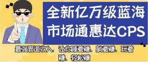 全新亿万级蓝海市场通惠达cps,最强管道收入,让你睡着赚、躺着赚、玩着赚、轻松赚【揭秘】-铭创资源库