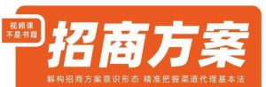 王昕招商方案,解构招商方案意识形态,精准把握渠道代理基本法-铭创资源库