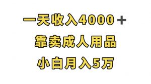 一天收入4000+，靠卖成人用品，小白轻松月入5万【揭秘】-铭创资源库