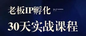 诸葛·2023老板IP实战课，实体同城引流获客，IP孵化必听-铭创资源库