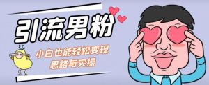 引流男粉+小白也能暴力变现的思路与实操【揭秘】-铭创资源库