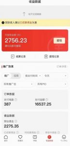 拼多多无人直播不封号玩法，0投入，3天必起，日入1000+-铭创资源库