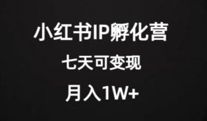 价值2000+的小红书IP孵化营项目，超级大蓝海，七天即可开始变现，稳定月入1W+-铭创资源库
