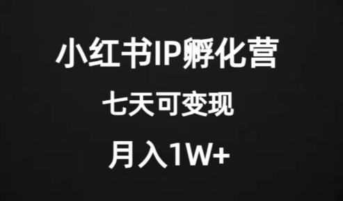 价值2000+的小红书IP孵化营项目，超级大蓝海，七天即可开始变现，稳定月入1W+-铭创资源库