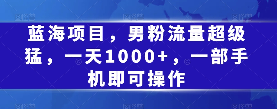 蓝海项目，男粉流量超级猛，一天1000+，一部手机即可操作【揭秘】-铭创资源库