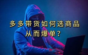 多多视频带货选什么商品链接才能爆单，10分钟教会你，爆单不是浮云【揭秘】-铭创资源库