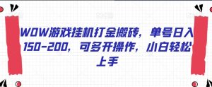 WOW游戏挂机打金搬砖,单号日入150-200,可多开操作,小白轻松上手【揭秘】-铭创资源库