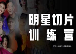 王子·明星切片线上训练营（2023），和明星一起拿红利，让明星为我们赚钱-铭创资源库