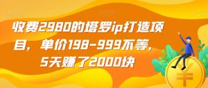 收费2980的塔罗ip打造项目,单价198-999不等,5天赚了2000块【揭秘】-铭创资源库