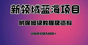 虚拟资源蓝海领域新项目，轻松日入800＋，附保姆级教程及资料-铭创资源库