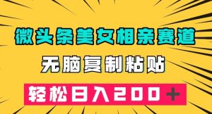 微头条冷门美女相亲赛道,无脑复制粘贴,轻松日入200+【揭秘】-铭创资源库