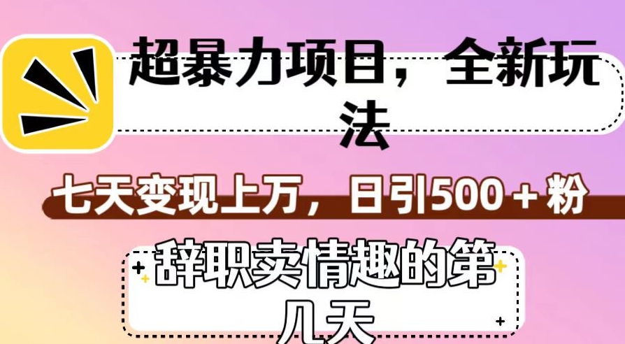 超暴利项目，全新玩法（辞职卖情趣的第几天），七天变现上万，日引500+粉【揭秘】-铭创资源库