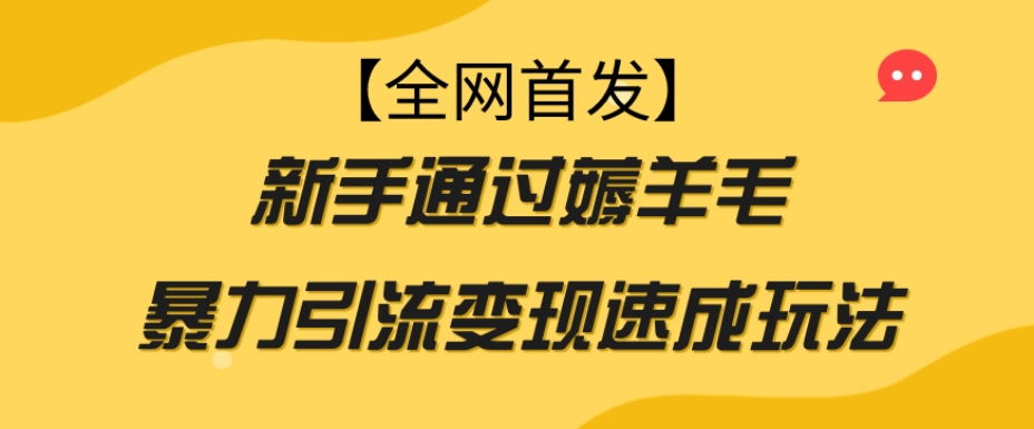 【全网首发】新手通过薅羊毛暴力引流变现速成玩法-铭创资源库