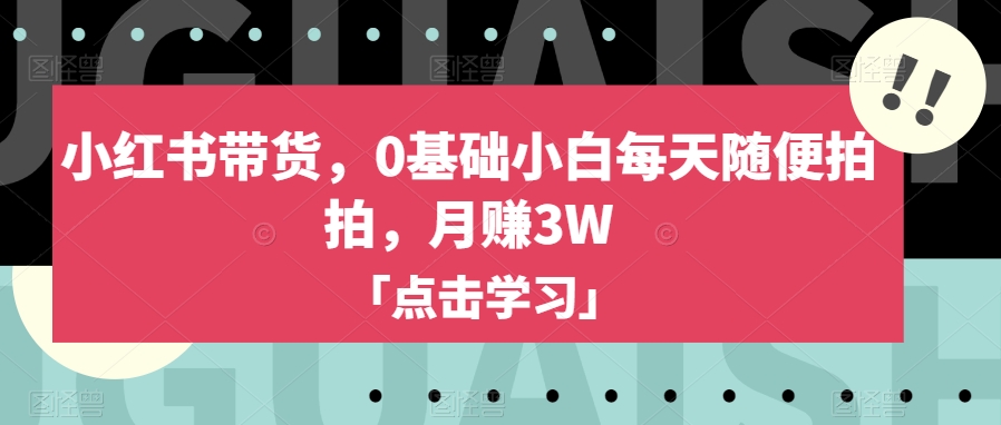 小红书带货，0基础小白每天随便拍拍，月赚3W【揭秘】-铭创资源库