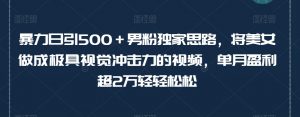 暴力日引500+男粉独家思路,将美女做成极具视觉冲击力的视频,单月盈利超2万轻轻松松-铭创资源库