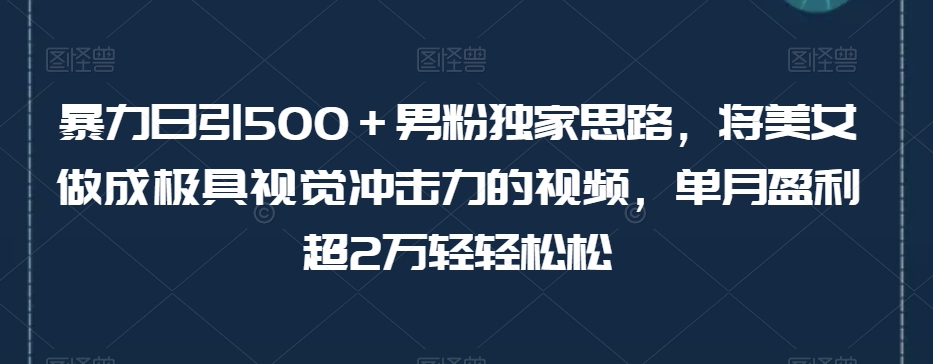 暴力日引500＋男粉独家思路，将美女做成极具视觉冲击力的视频，单月盈利超2万轻轻松松-铭创资源库