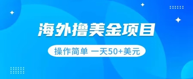 撸美金项目无门槛操作简单小白一天50+美刀-铭创资源库