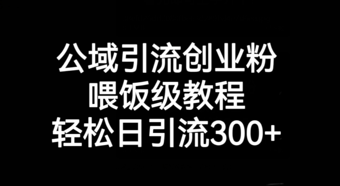 公域引流创业粉，喂饭级教程，轻松日引流300+【揭秘】-铭创资源库