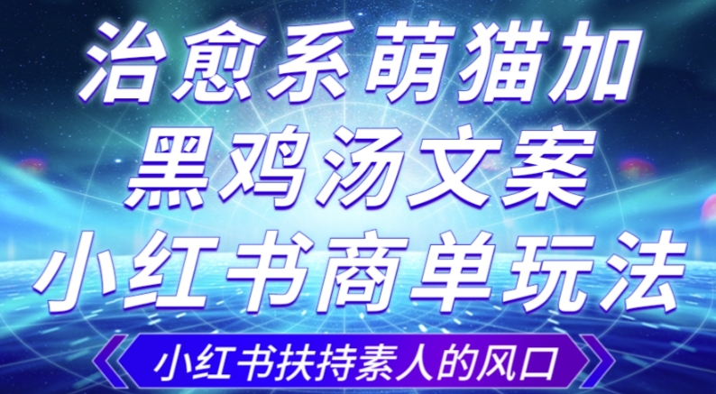 治愈系萌猫加+黑鸡汤文案，小红书商单玩法，3~10天涨到1000粉，一单200左右-铭创资源库